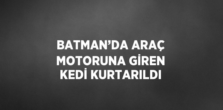 BATMAN’DA ARAÇ MOTORUNA GİREN KEDİ KURTARILDI