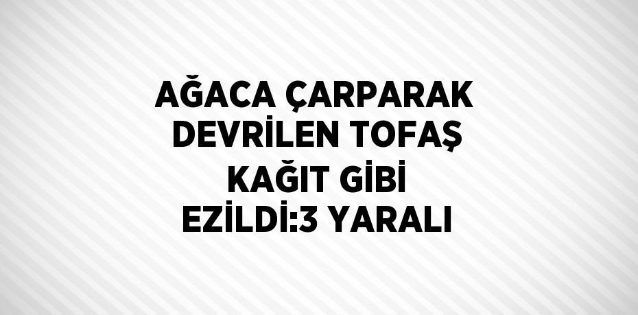 AĞACA ÇARPARAK DEVRİLEN TOFAŞ KAĞIT GİBİ EZİLDİ:3 YARALI