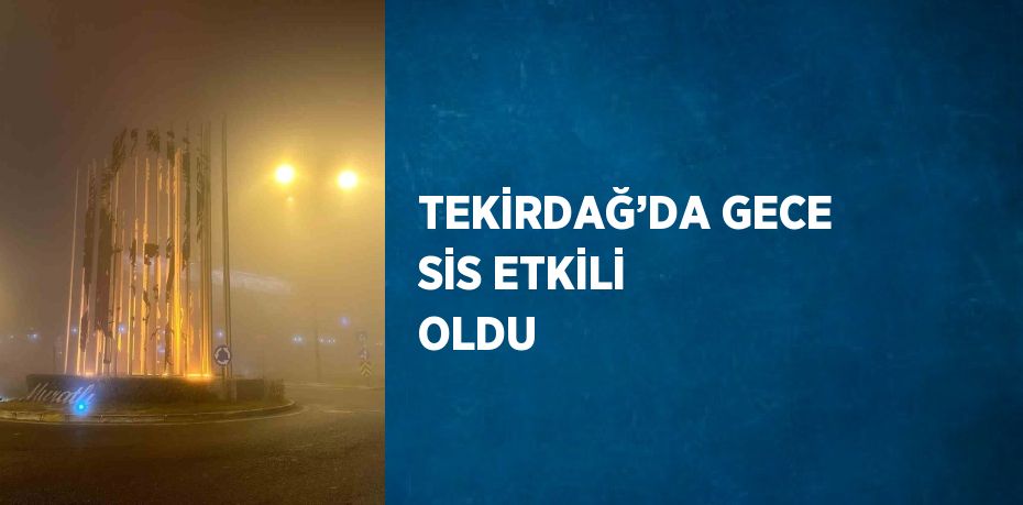 TEKİRDAĞ’DA GECE SİS ETKİLİ OLDU