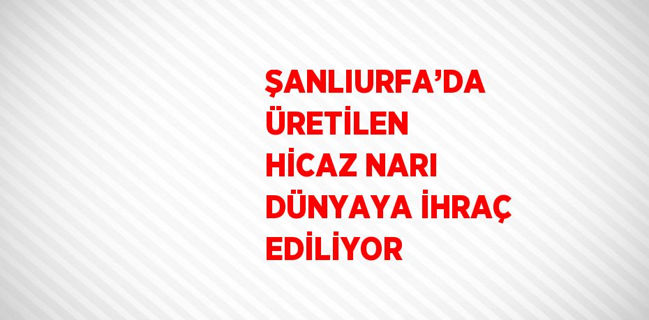 ŞANLIURFA’DA ÜRETİLEN HİCAZ NARI DÜNYAYA İHRAÇ EDİLİYOR