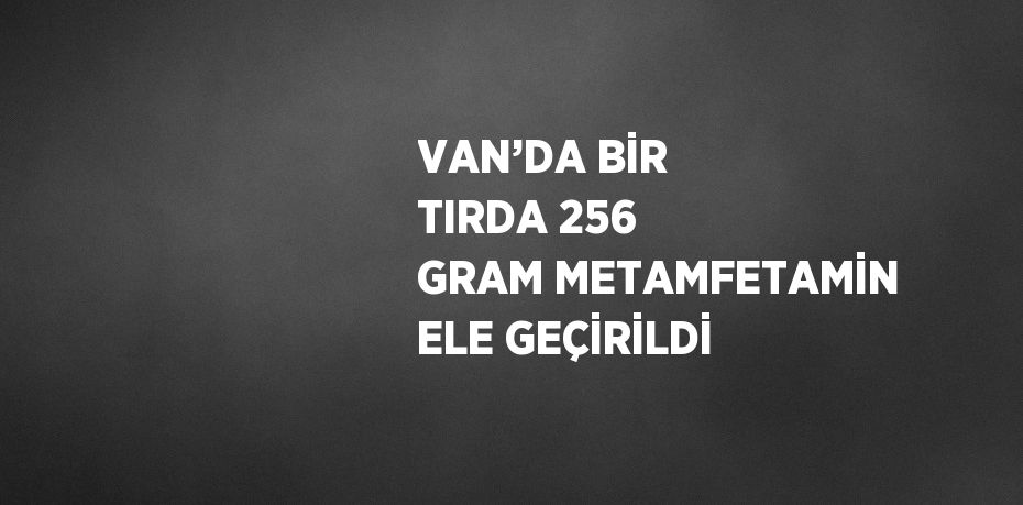 VAN’DA BİR TIRDA 256 GRAM METAMFETAMİN ELE GEÇİRİLDİ