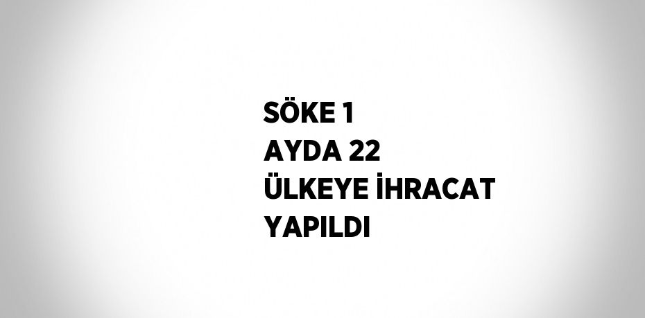 SÖKE 1 AYDA 22 ÜLKEYE İHRACAT YAPILDI