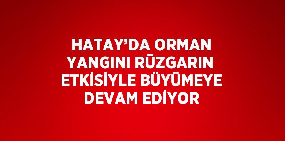 HATAY’DA ORMAN YANGINI RÜZGARIN ETKİSİYLE BÜYÜMEYE DEVAM EDİYOR