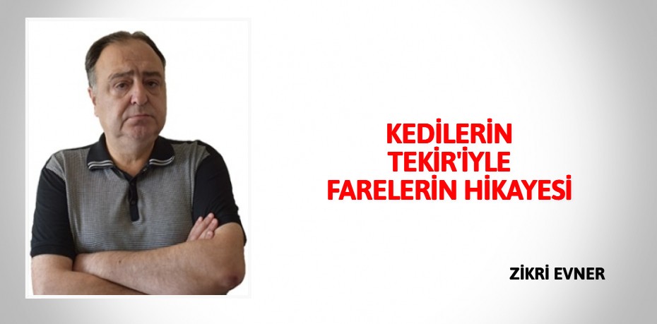 KEDİLERİN TEKİR'İYLE FARELERİN HİKAYESİ