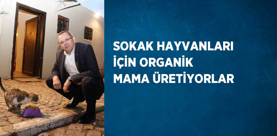 SOKAK HAYVANLARI İÇİN ORGANİK MAMA ÜRETİYORLAR