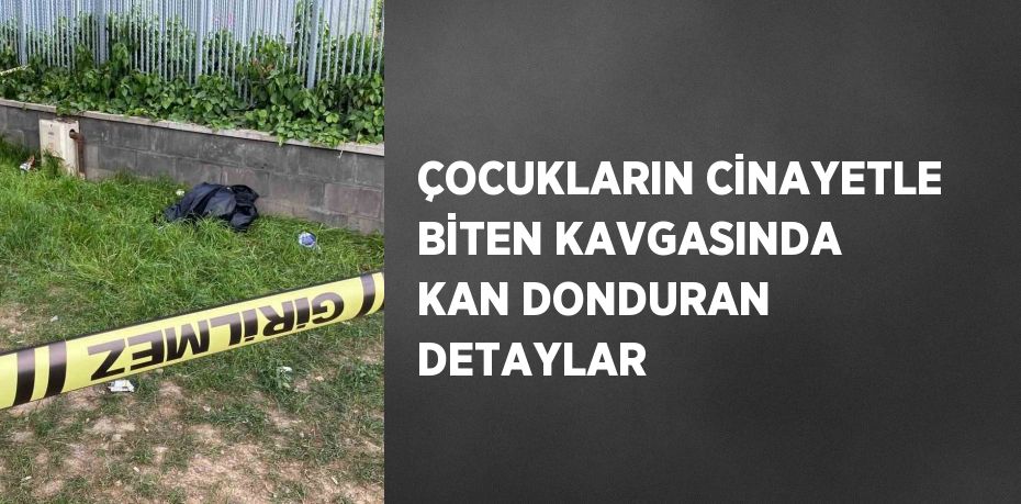 ÇOCUKLARIN CİNAYETLE BİTEN KAVGASINDA KAN DONDURAN DETAYLAR