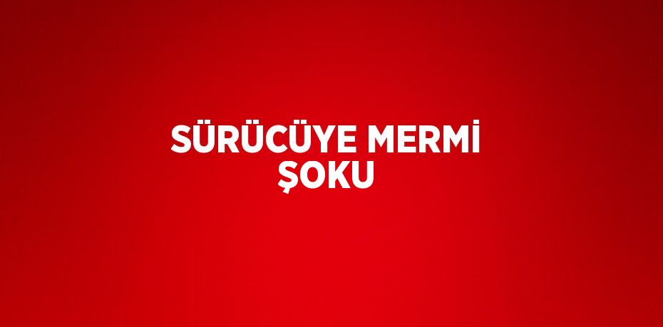 SÜRÜCÜYE MERMİ ŞOKU