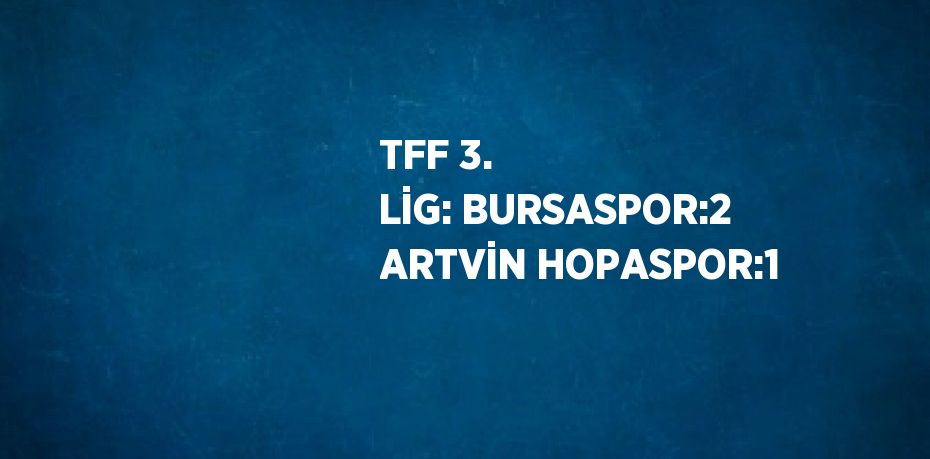 TFF 3. LİG: BURSASPOR:2 ARTVİN HOPASPOR:1