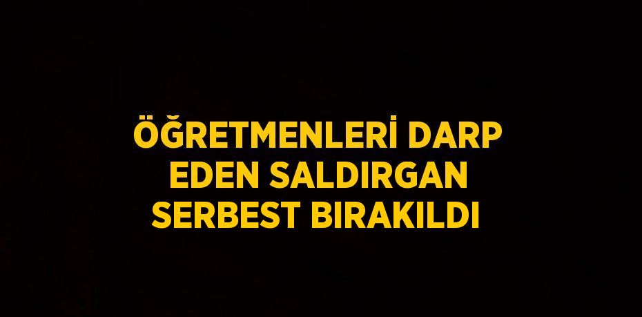 ÖĞRETMENLERİ DARP EDEN SALDIRGAN SERBEST BIRAKILDI