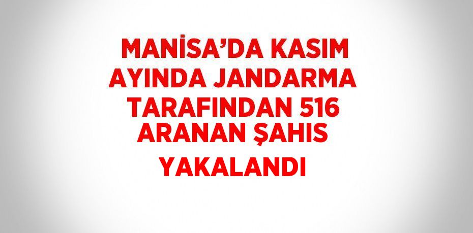 MANİSA’DA KASIM AYINDA JANDARMA TARAFINDAN 516 ARANAN ŞAHIS YAKALANDI