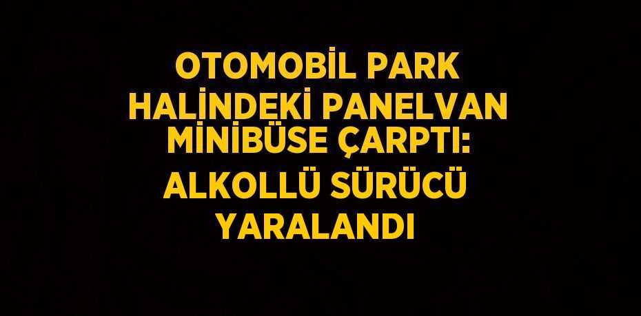 OTOMOBİL PARK HALİNDEKİ PANELVAN MİNİBÜSE ÇARPTI: ALKOLLÜ SÜRÜCÜ YARALANDI