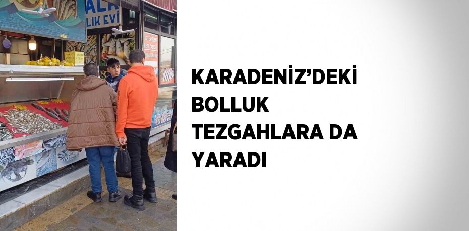 KARADENİZ’DEKİ BOLLUK TEZGAHLARA DA YARADI