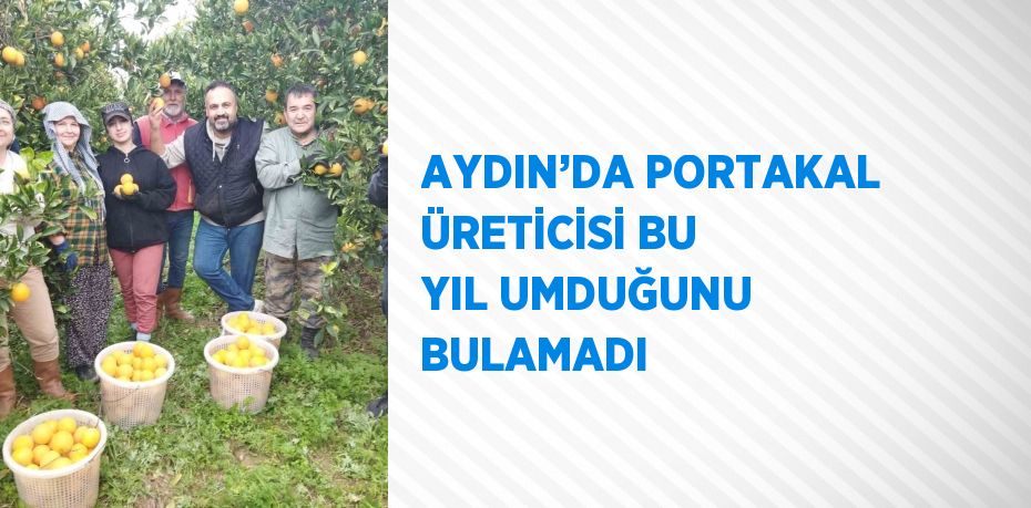 AYDIN’DA PORTAKAL ÜRETİCİSİ BU YIL UMDUĞUNU BULAMADI