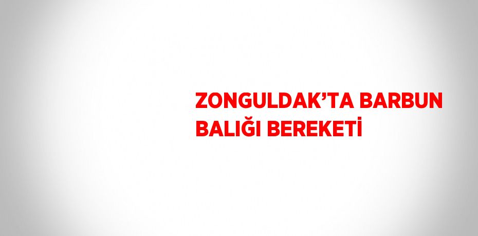 ZONGULDAK’TA BARBUN BALIĞI BEREKETİ