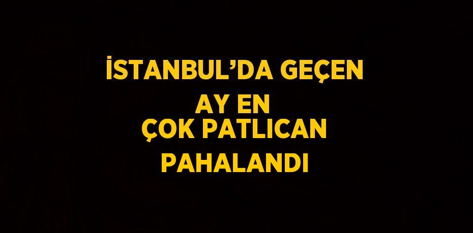 İSTANBUL’DA GEÇEN AY EN ÇOK PATLICAN PAHALANDI