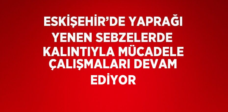 ESKİŞEHİR’DE YAPRAĞI YENEN SEBZELERDE KALINTIYLA MÜCADELE ÇALIŞMALARI DEVAM EDİYOR