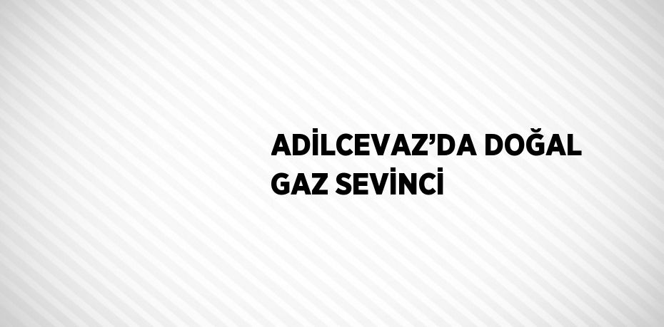 ADİLCEVAZ’DA DOĞAL GAZ SEVİNCİ