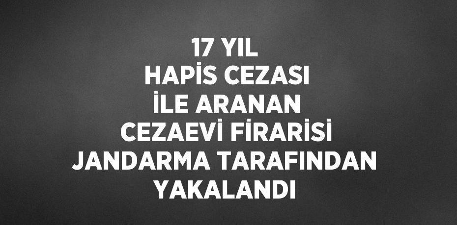 17 YIL HAPİS CEZASI İLE ARANAN CEZAEVİ FİRARİSİ JANDARMA TARAFINDAN YAKALANDI