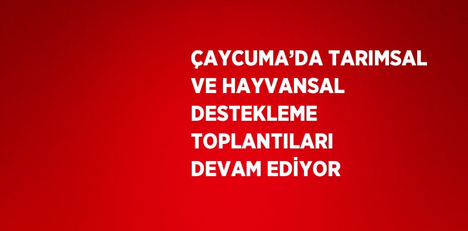 ÇAYCUMA’DA TARIMSAL VE HAYVANSAL DESTEKLEME TOPLANTILARI DEVAM EDİYOR