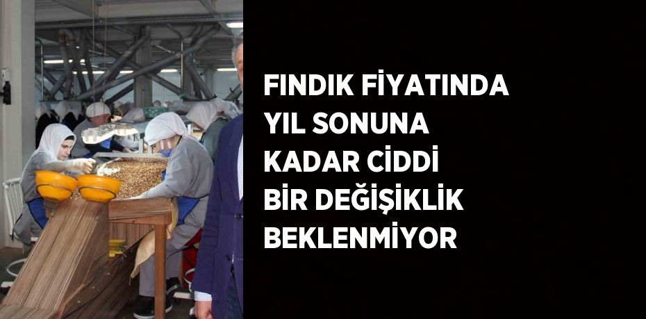 FINDIK FİYATINDA YIL SONUNA KADAR CİDDİ BİR DEĞİŞİKLİK BEKLENMİYOR