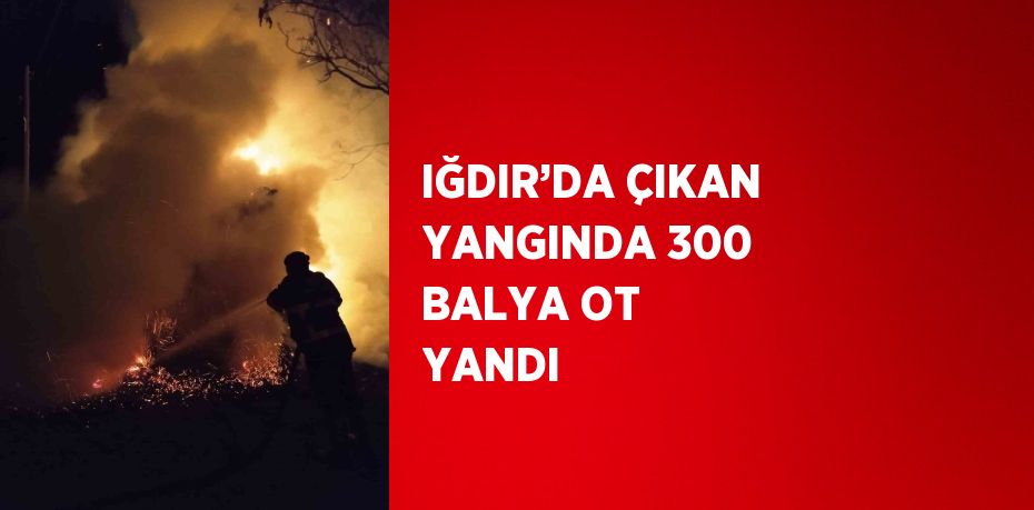 IĞDIR’DA ÇIKAN YANGINDA 300 BALYA OT YANDI