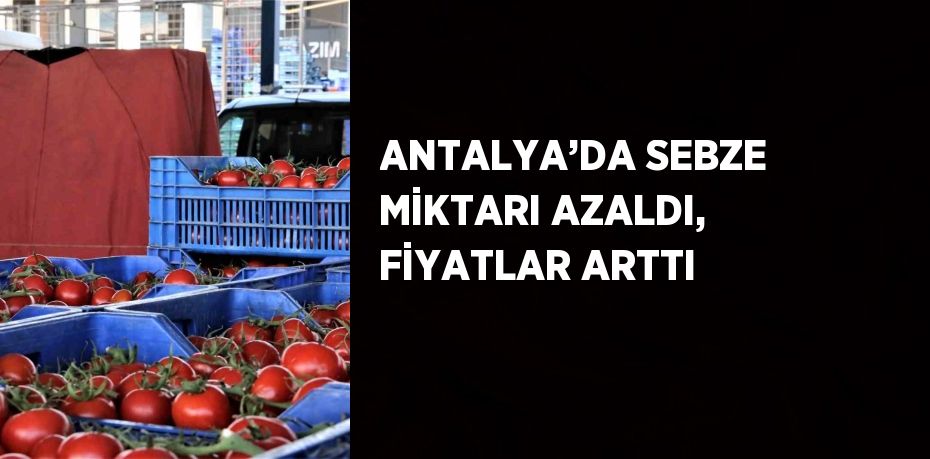 ANTALYA’DA SEBZE MİKTARI AZALDI, FİYATLAR ARTTI