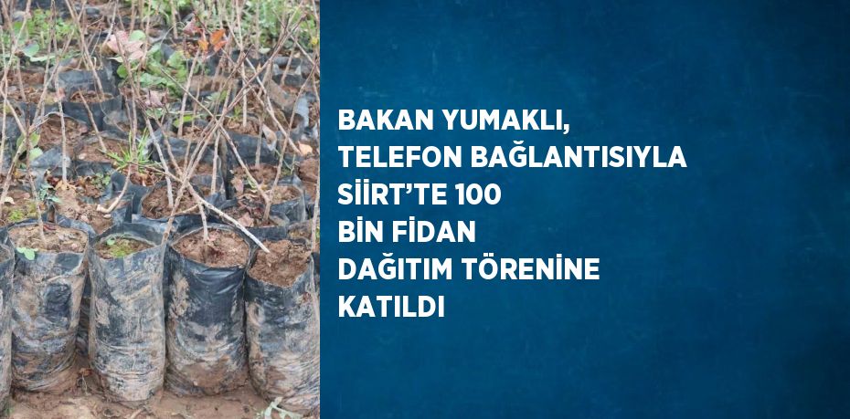 BAKAN YUMAKLI, TELEFON BAĞLANTISIYLA SİİRT’TE 100 BİN FİDAN DAĞITIM TÖRENİNE KATILDI