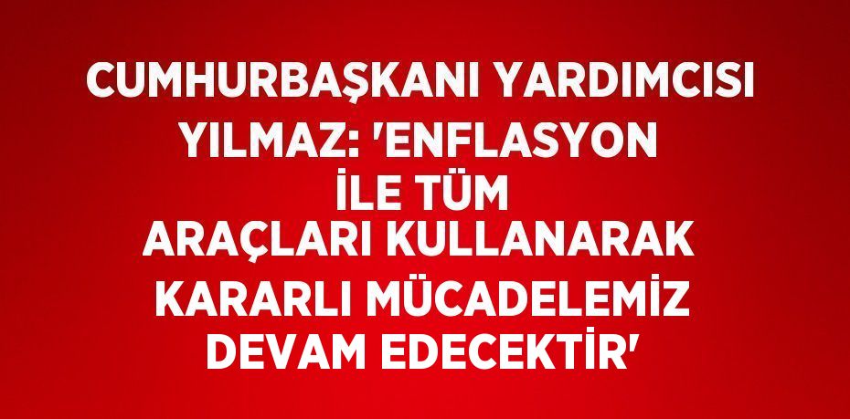 CUMHURBAŞKANI YARDIMCISI YILMAZ: 'ENFLASYON İLE TÜM ARAÇLARI KULLANARAK KARARLI MÜCADELEMİZ DEVAM EDECEKTİR'