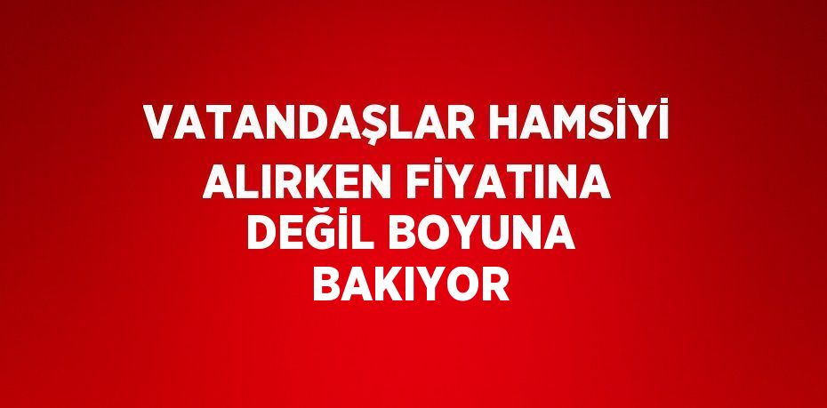 VATANDAŞLAR HAMSİYİ ALIRKEN FİYATINA DEĞİL BOYUNA BAKIYOR