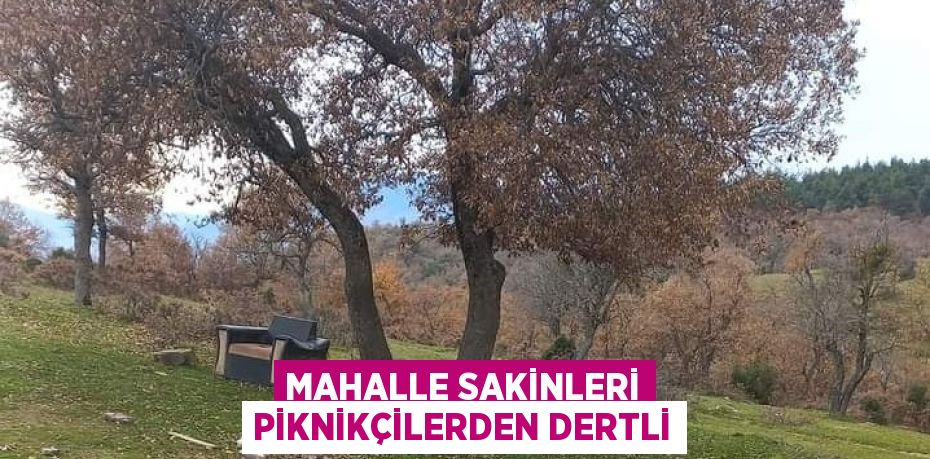 MAHALLE SAKİNLERİ PİKNİKÇİLERDEN DERTLİ