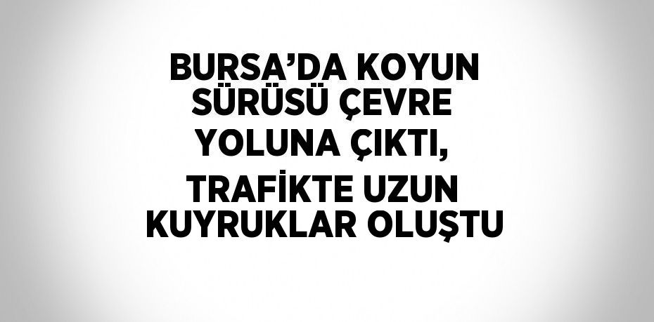 BURSA’DA KOYUN SÜRÜSÜ ÇEVRE YOLUNA ÇIKTI, TRAFİKTE UZUN KUYRUKLAR OLUŞTU