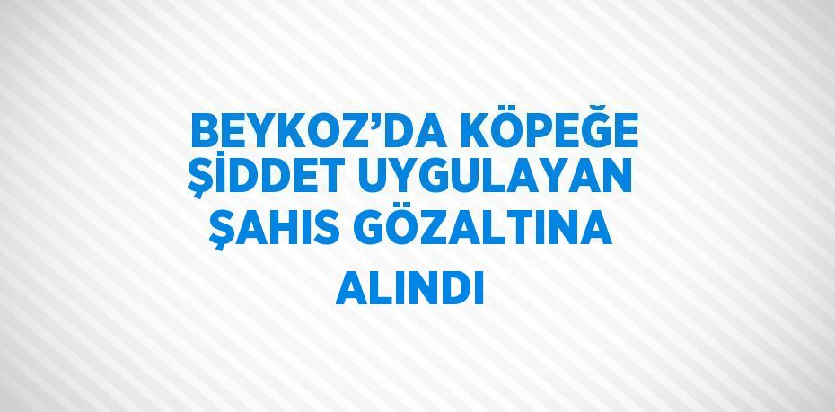 BEYKOZ’DA KÖPEĞE ŞİDDET UYGULAYAN ŞAHIS GÖZALTINA ALINDI