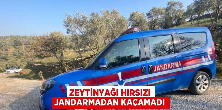 ZEYTİNYAĞI HIRSIZI JANDARMADAN KAÇAMADI