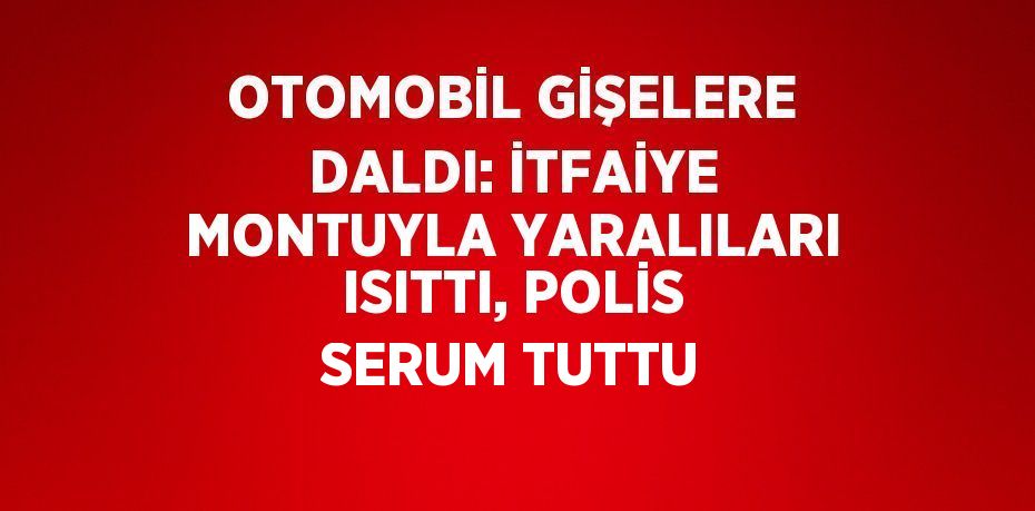 OTOMOBİL GİŞELERE DALDI: İTFAİYE MONTUYLA YARALILARI ISITTI, POLİS SERUM TUTTU