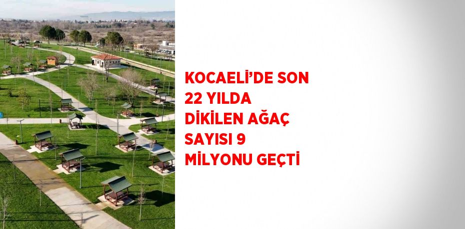 KOCAELİ’DE SON 22 YILDA DİKİLEN AĞAÇ SAYISI 9 MİLYONU GEÇTİ