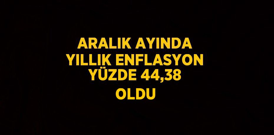 ARALIK AYINDA YILLIK ENFLASYON YÜZDE 44,38 OLDU