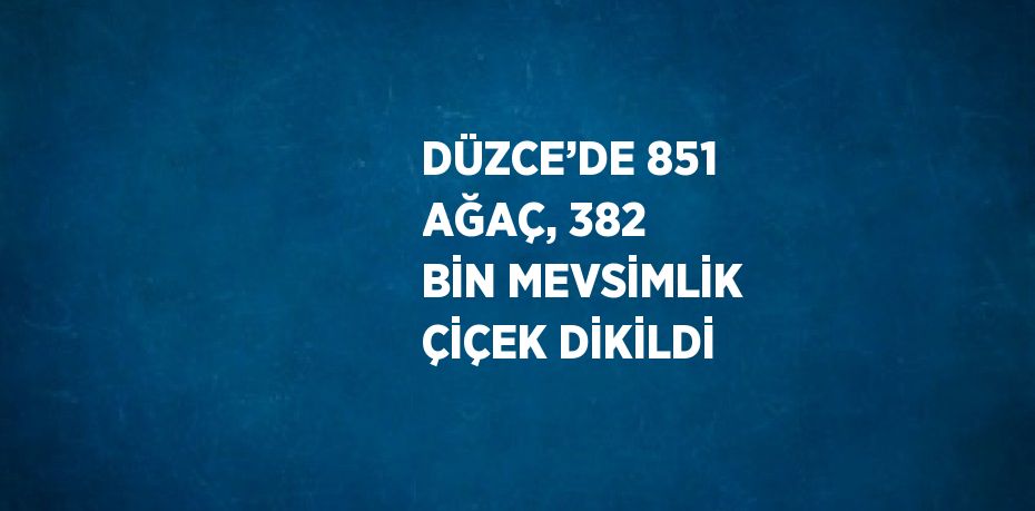 DÜZCE’DE 851 AĞAÇ, 382 BİN MEVSİMLİK ÇİÇEK DİKİLDİ