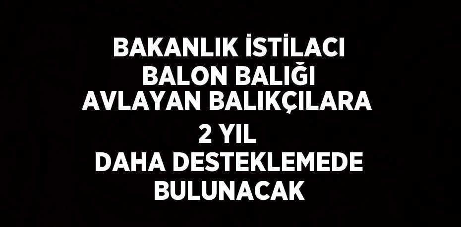 BAKANLIK İSTİLACI BALON BALIĞI AVLAYAN BALIKÇILARA 2 YIL DAHA DESTEKLEMEDE BULUNACAK