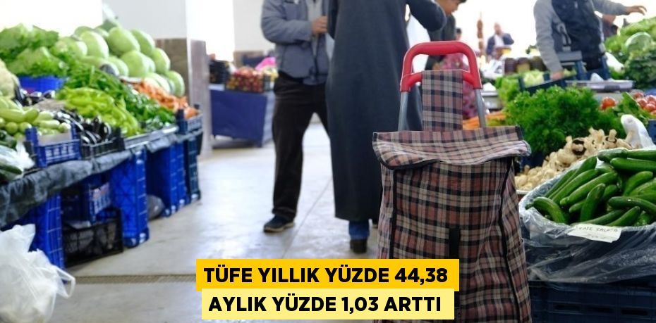 TÜFE YILLIK YÜZDE 44,38 AYLIK YÜZDE 1,03 ARTTI