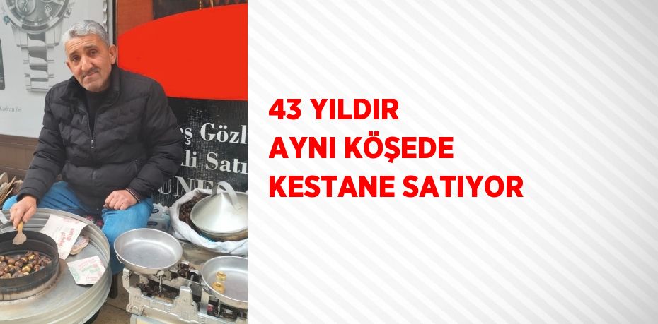 43 YILDIR AYNI KÖŞEDE KESTANE SATIYOR