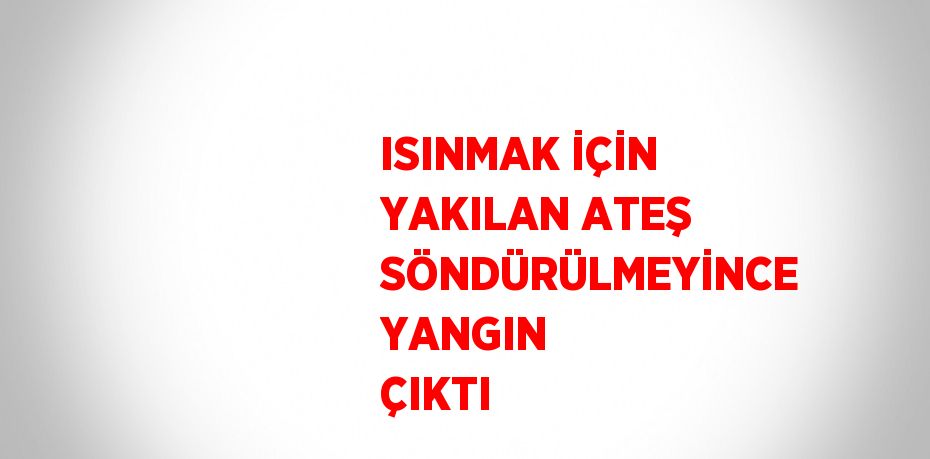 ISINMAK İÇİN YAKILAN ATEŞ SÖNDÜRÜLMEYİNCE YANGIN ÇIKTI