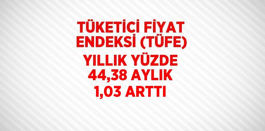 TÜKETİCİ FİYAT ENDEKSİ (TÜFE) YILLIK YÜZDE 44,38 AYLIK 1,03 ARTTI