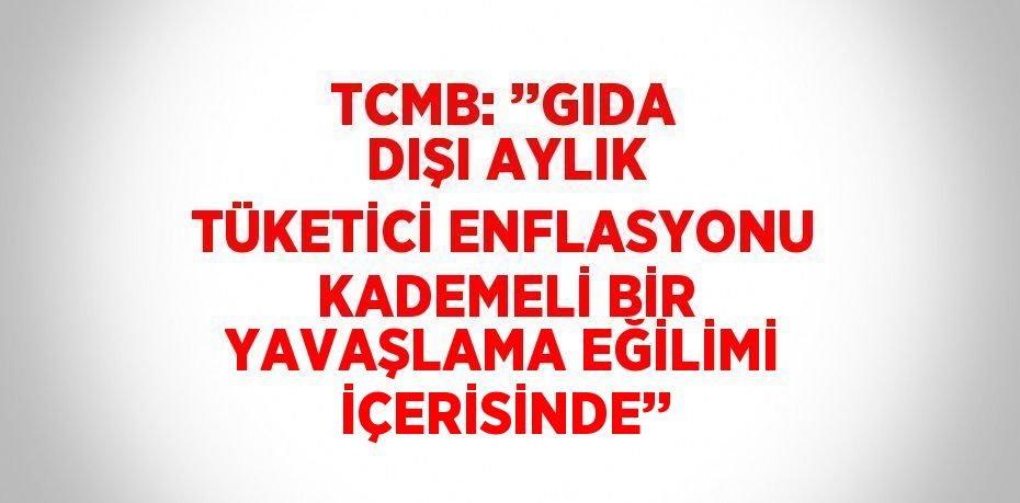 TCMB: ’’GIDA DIŞI AYLIK TÜKETİCİ ENFLASYONU KADEMELİ BİR YAVAŞLAMA EĞİLİMİ İÇERİSİNDE’’