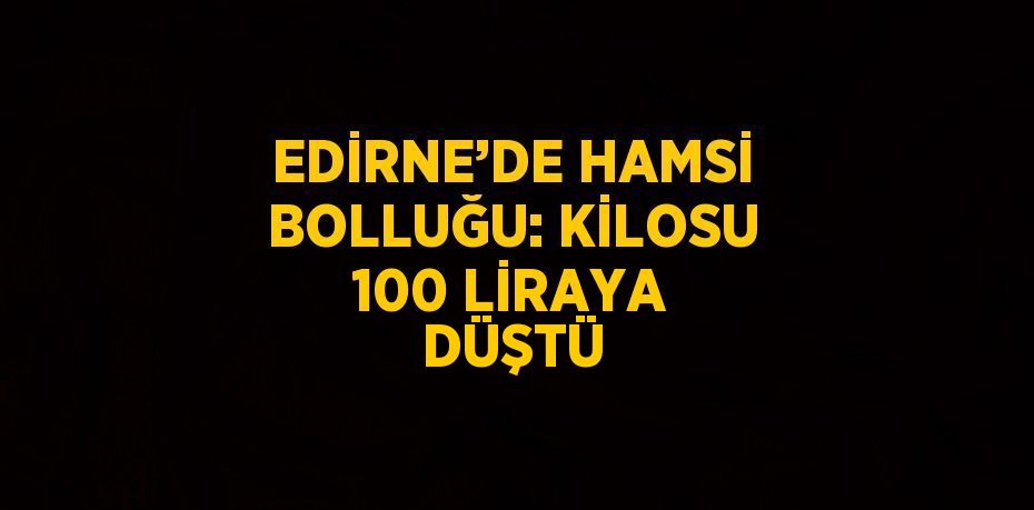 EDİRNE’DE HAMSİ BOLLUĞU: KİLOSU 100 LİRAYA DÜŞTÜ