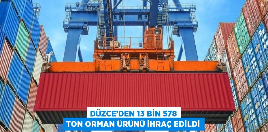 DÜZCE’DEN 13 BİN 578 TON ORMAN ÜRÜNÜ İHRAÇ EDİLDİ