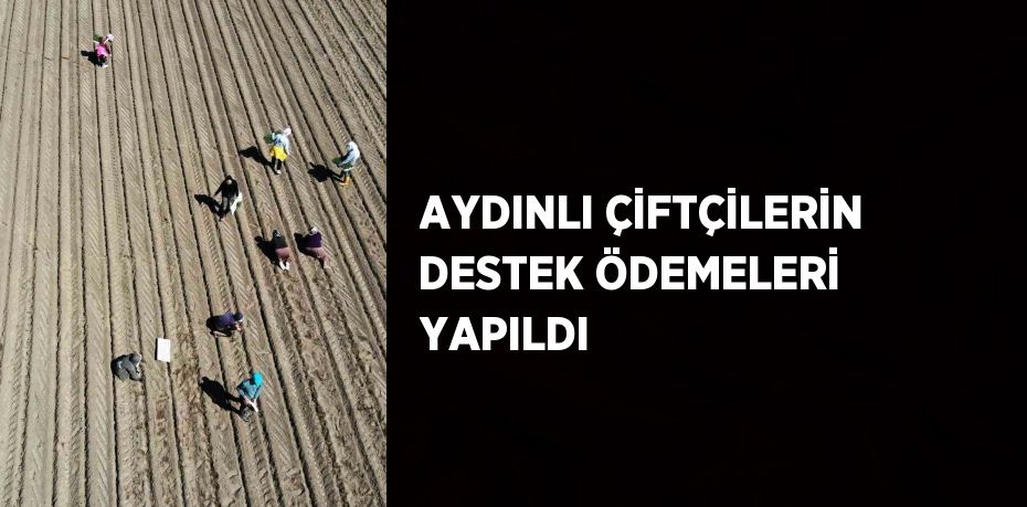 AYDINLI ÇİFTÇİLERİN DESTEK ÖDEMELERİ YAPILDI