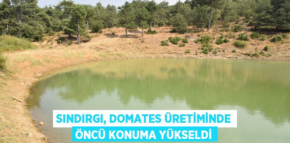 SINDIRGI, DOMATES ÜRETİMİNDE ÖNCÜ KONUMA YÜKSELDİ