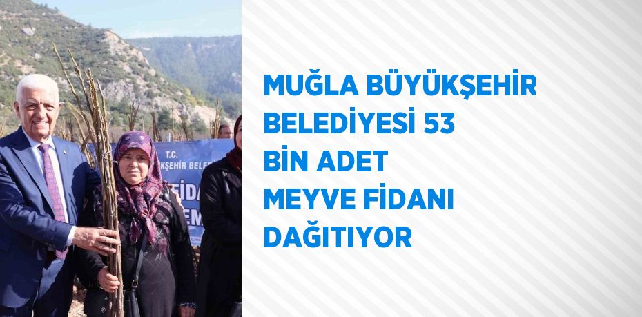 MUĞLA BÜYÜKŞEHİR BELEDİYESİ 53 BİN ADET MEYVE FİDANI DAĞITIYOR