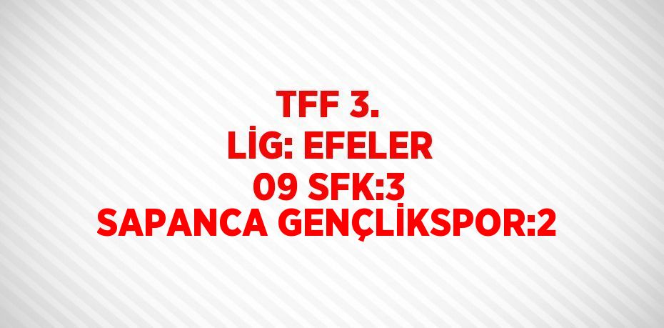 TFF 3. LİG: EFELER 09 SFK:3 SAPANCA GENÇLİKSPOR:2