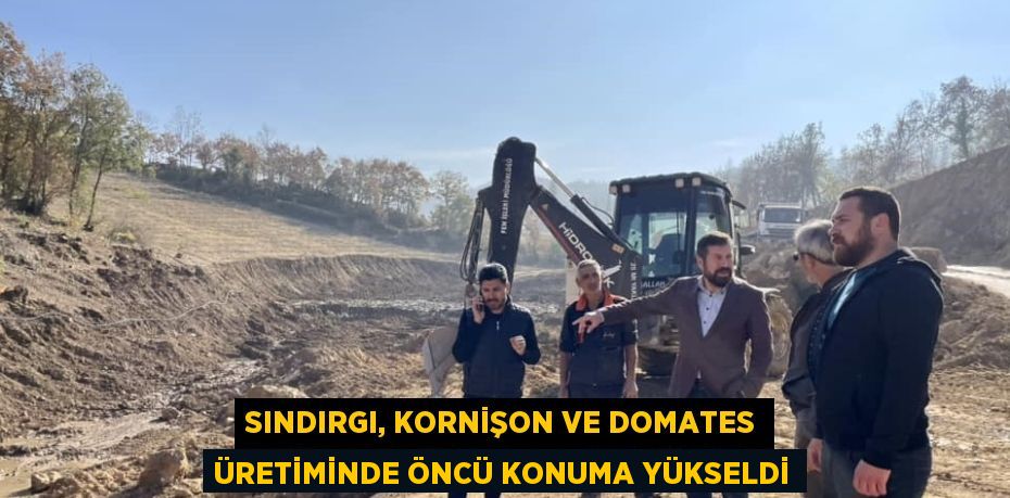 SINDIRGI, KORNİŞON VE DOMATES ÜRETİMİNDE ÖNCÜ KONUMA YÜKSELDİ